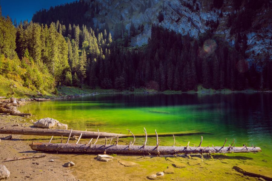 Axalp & Hinterburgseeli Tour Gallery Image 1