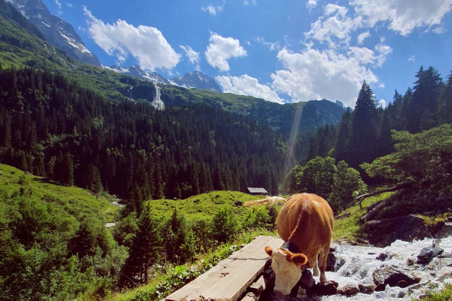 Trachsellaunen Waterfall Hike Tour Gallery Image